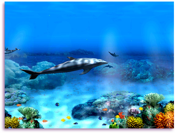 3d dolphins screensaver free download